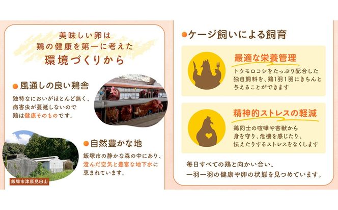 【F8-004】テトラエッグ(40個/月)【6ヵ月定期便】