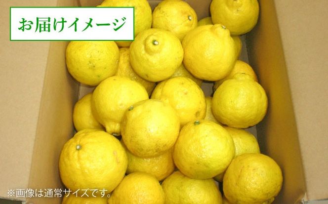 爽やかに甘い！ 糸島産 「はるか」 ジャンボサイズ 約5kg（3L-4Lサイズミックス）糸島市 / 二丈赤米産直センター[ABB031]