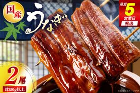 うなぎ 国産 鰻 日向うなぎ 蒲焼 中 2尾 計250g以上 [日向サンパーク 宮崎県 日向市 452061714] ギフト 小分け ふるさと納税 ウナギ 冷凍 贈答 贈答用 蒲焼 蒲焼き うなぎの蒲焼 冷凍うなぎ 宮崎県産 急速凍結 九州