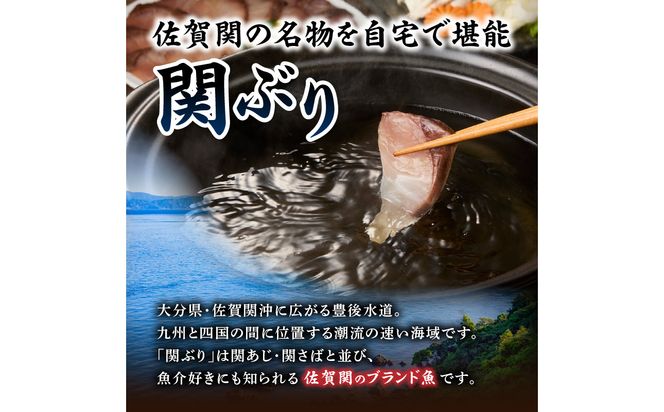 【E04005】天然一本釣り関ぶりしゃぶしゃぶセット