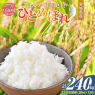 【12回定期便】 精米 令和7年産 宮城県産ひとめぼれ 計240kg (10kg×2袋)×12回 [菅原商店 宮城県 加美町 ]   |sg-hb20-t12-r7