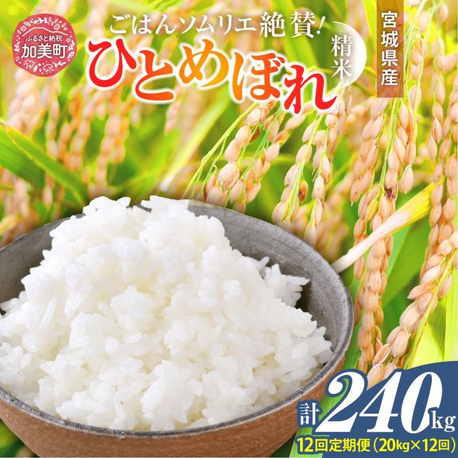 【12回定期便】 精米 令和7年産 宮城県産ひとめぼれ 計240kg (10kg×2袋)×12回 [菅原商店 宮城県 加美町 ]   |sg-hb20-t12-r7