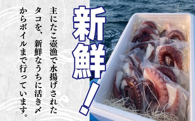 099H3804 冷凍ボイルタコ 足のみ 合計1kg（100g前後×7～14パック）たこ 刺身 個包装 酒の肴 酢の物 唐揚げ たこぶつ