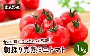 【2026年夏発送】完熟 富良野 ミニトマト 約1kg 野菜 トマト 新鮮 直送 朝採り北海道