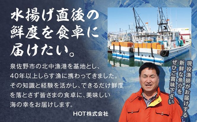 G3800 サーモン カマ 600g（約10-12切れ）【カマ 尻尾 小分け 海鮮 魚介 鮭 さけ しゃけ】