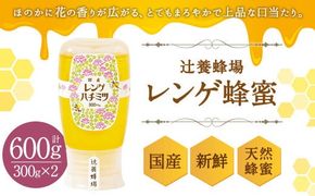 辻養蜂場 レンゲ蜂蜜 300g×2本 計600g はちみつ