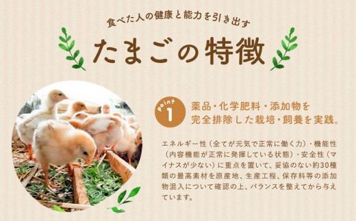 【食べチョクアワード2025 畜産部門 1位の日本一のたまご】単なる平飼いではない究極の卵『わたしたちのぷらいどたまご』3パック（30個）セット
