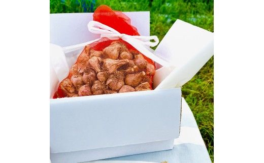 訳あり 植田ファームの自然乾燥平戸にんにく700g 〈2026年6月10日～2026年10月31日〉700グラム ニンニク ガーリック お酒 料理 醤油漬け ガーリックオイル ペペロンチーノ パスタ スパゲッティ 高知県 土佐市【株式会社植田ファーム】[BQAT005]