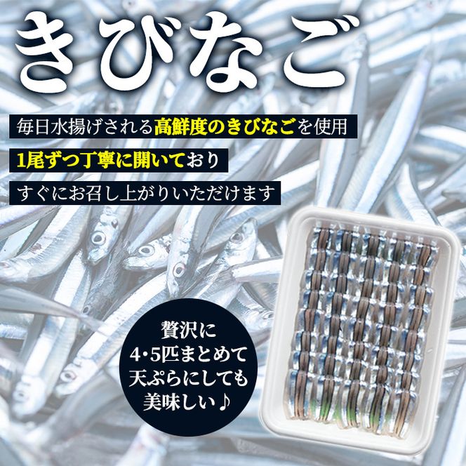 鹿児島県阿久根産 天然きびなごのお刺身(計160尾・40尾×4パック)国産 魚介 魚貝 海産物 鮮魚 冷蔵配送 キビナゴ 海鮮丼 食品 セット 詰め合わせ 水産加工品【濱崎魚類】akn023-02