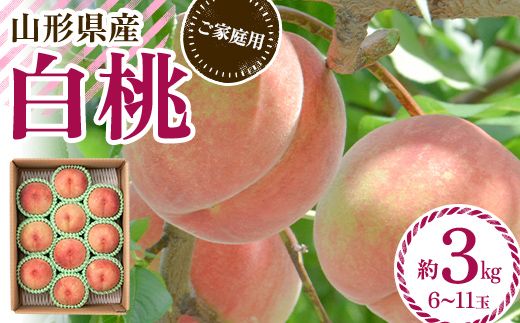 FYN6-073 ≪2027年先行予約≫ ご家庭用 山形県産 品種おまかせ 白桃 約3kg（6～11玉） 2027年8月中旬から順次発送 柔らかくなる桃 はくとう 桃 もも モモ 果物 くだもの 夏果実 フルーツ 訳あり 農業者支援 家庭用 自宅用 産地直送 山形県 西川町 月山