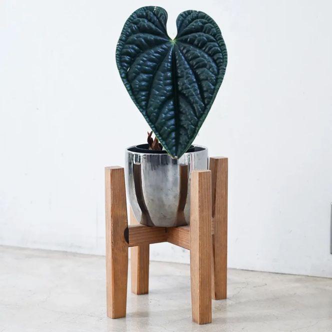 プランタースタンド Sサイズ | 観葉植物 プランター 花台 インテリア 無垢材 木製 オシャレ おしゃれ