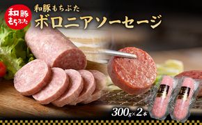和豚 もちぶた ボロニアソーセージ 300g×2本 和豚 もち豚 豚肉 ポーク お肉 肉 豚 ぶた ブタ 加工肉 アウトドア