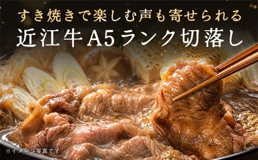 【げんさん】近江牛A5ランク切落し定期便【全4回定期便】【リピート多数】【訳あり】【DG26W】