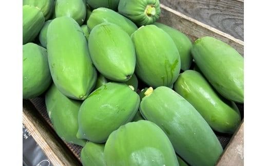 【期間限定】栄養の宝庫 青パパイヤ 約3kg スーパーフード 酵素 美容 健康 エックスファーム H164-010