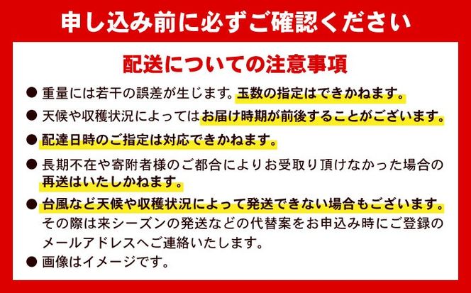 【先行予約 2026年発送 予約受付】 訳あり 完熟マンゴー 約4kg (約2kg×2箱) マンゴー 沖縄 果物 フルーツ ギフト 沖縄市 / ちゃんぷる〜市場[BCAA007]