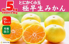 小玉みかん 極早生 箱込 5kg (内容量約 4.4kg) 3S～Sサイズ混合 秀品 優品 混合 有田みかん 和歌山県産 【みかんの会】［2026年10月上旬頃より順次発送予定］ AX224