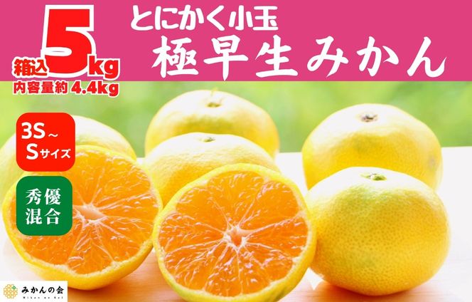 小玉みかん 極早生 箱込 5kg (内容量約 4.4kg) 3S～Sサイズ混合 秀品 優品 混合 有田みかん 和歌山県産 【みかんの会】［2026年10月上旬頃より順次発送予定］ AX224