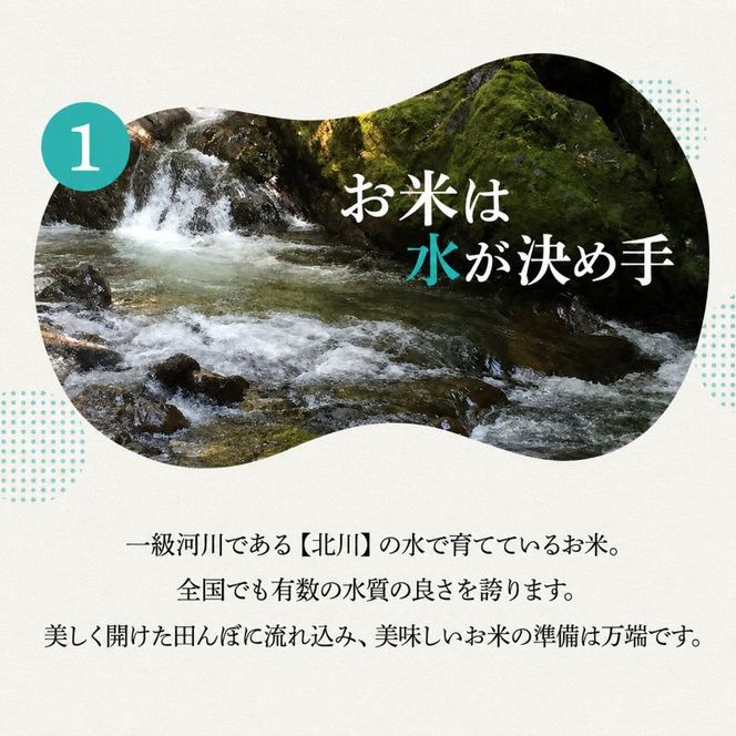 米 令和8年産 コシヒカリ 5kg 白米 精米 単一原料米 一等米 ブランド米 5キロ