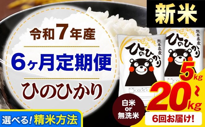 【6ヶ月定期便】新米 令和7年産 白米 or 無洗米 ひのひかり 定期便あり 5kg 10kg 15kg 20kg 《お申込み翌月から出荷》令和7年産 熊本県産 ふるさと納税 無洗米 白米 精米 ひの 米 こめ ふるさとのうぜい ヒノヒカリ コメ お米---mifune_lcl_998_mo6---