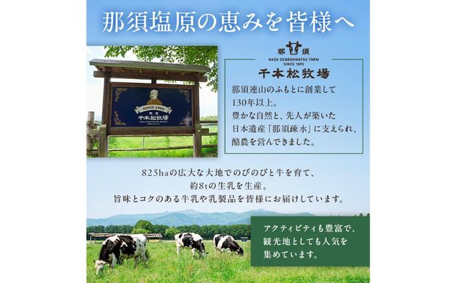 ns025-014-10 福袋セット（ミレピーニアイス10個セット）【千本松牧場】