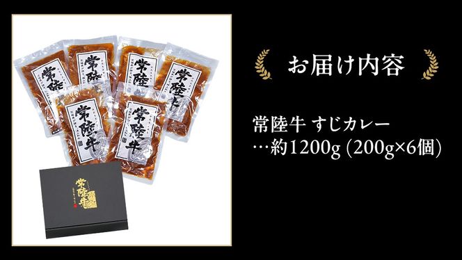 常陸牛 すじカレー 200g ×6 【茨城県共通返礼品】　カレー 牛すじ お肉 牛肉 簡単 冷凍 レトルト