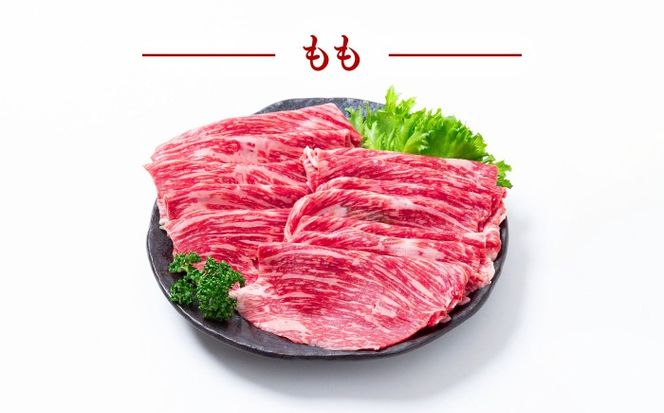 【2回定期便】長崎和牛 焼き肉 食べ比べセット もも カルビ 600g / 牛肉 焼肉 やき肉 ぎゅうにく / 南島原市 / 贅沢宝庫[SDZ066]