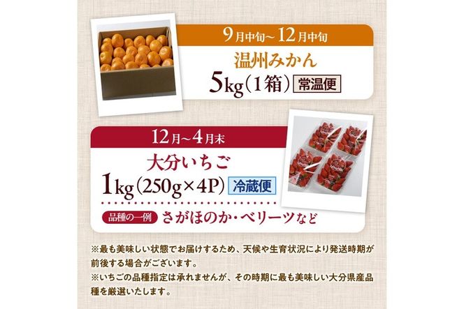 ＜定期便・全4回＞大分県産旬のフルーツ定期便 (4種・総量9kg) ブルーベリー シャインマスカット 温州みかん いちご フルーツ 果物 柑橘 ブドウ デザート 大分県産＜北海道・沖縄・離島配送不可＞【DT23】【全国農業協同組合連合会大分県本部】