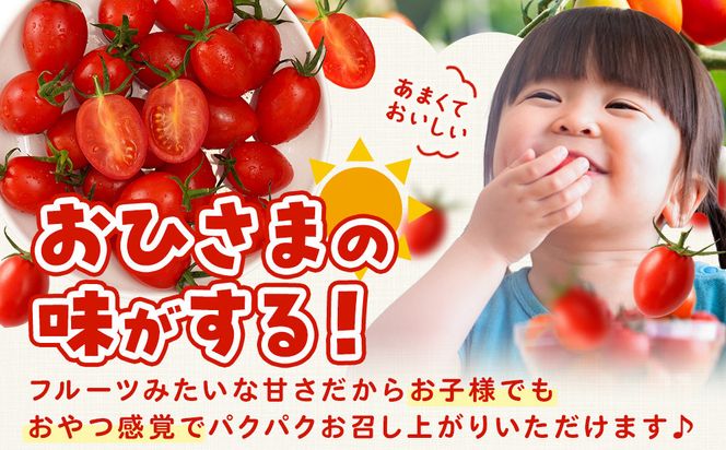 ［2026年5月出荷分］和歌山産ミニトマト「アイコトマト」約1kg（S・Mサイズおまかせ）［TM232］ 303446_XH92279VC05
