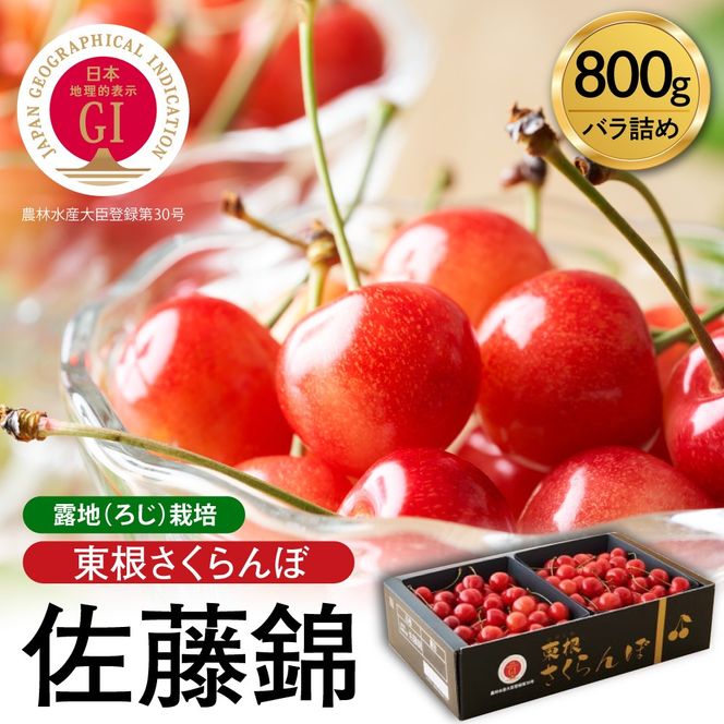 【2027年産】GI東根さくらんぼ「佐藤錦」800g バラ詰め 山形県 東根市 hi001-039-r9