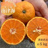 140.南津海（なつみ）（約5kg）(140-1)