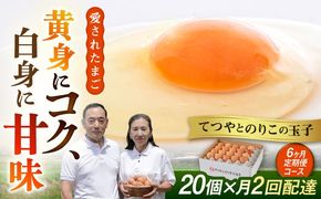 《月2回×20個 6ヶ月コース》 卵 てつやとのりこの玉子 全12回定期便 糸島市 / 板垣ファーム [AWD013]