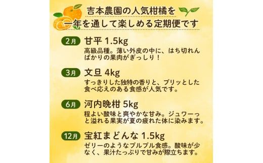定期便 4回  柑橘 吉本農園  甘平 文旦 河内晩柑 愛南ゴールド 宝紅まどんな 4ヶ月