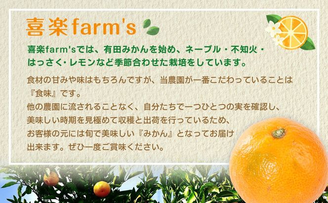 産地直送 有田みかん サイズ 不揃い 約10kg 喜楽farms 【2025年11月以降順次発送】 AL05