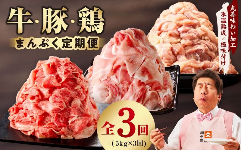 mrzZ020 国産 牛肉&豚肉&鶏肉 まんぷく 定期便 5kg×3回[氷温熟成×極味付け 3種 食べ比べ 普段使い 味付き 小分け 訳あり サイズ不揃い]