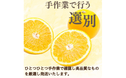  新鮮！はじける食感！「きみのハッサク」5kg サイズ L~2L ご家庭用(秀優混合) /八朔 柑橘 和歌山県 手選別 紀美野町産【kmf021-c-5】