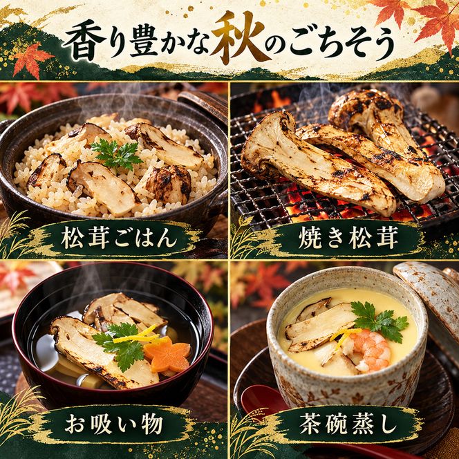 松茸 約400g 約3～5本 きのこ 野菜 国産 秋の味覚 冷蔵 冷蔵配送