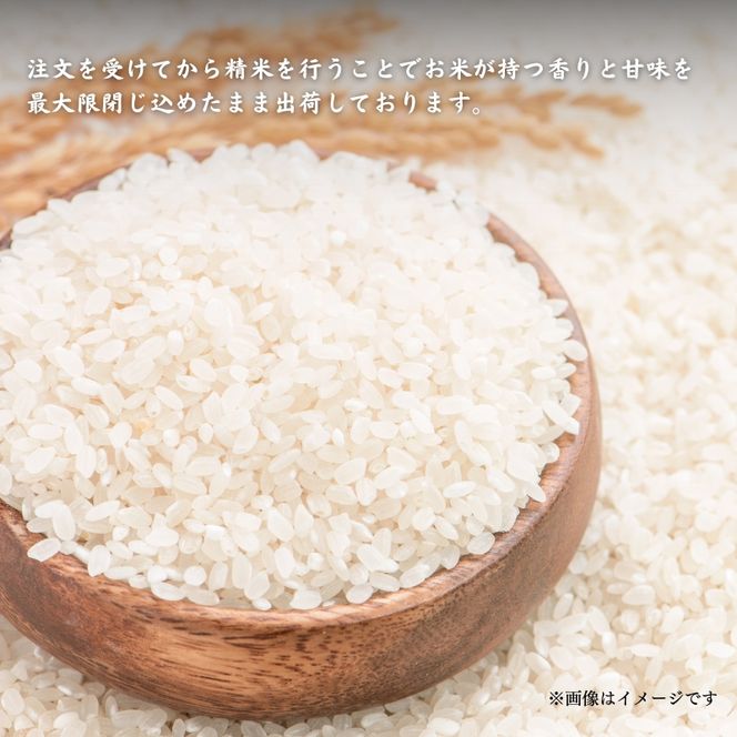 令和6年産 コシヒカリ こと美山米 10kg (5kg×2袋) 米 白米 精米 お米 こめ コメ こしひかり 令和6年 特別栽培米 ご飯 ごはん 京都 京都府 南丹市