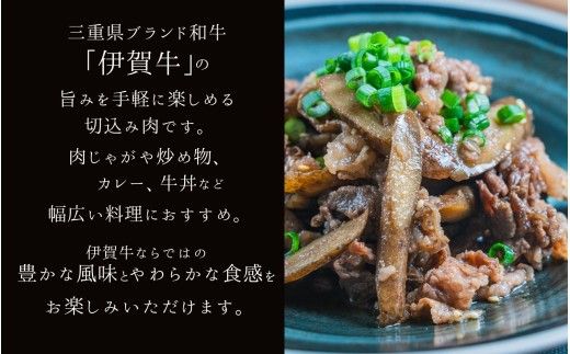 伊賀牛 切込肉 1kg（500g×2）【gzit0007-2】