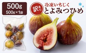 訳あり冷凍いちじく（とよみつひめ」）500ｇ【JAほたるの里】_HA1657