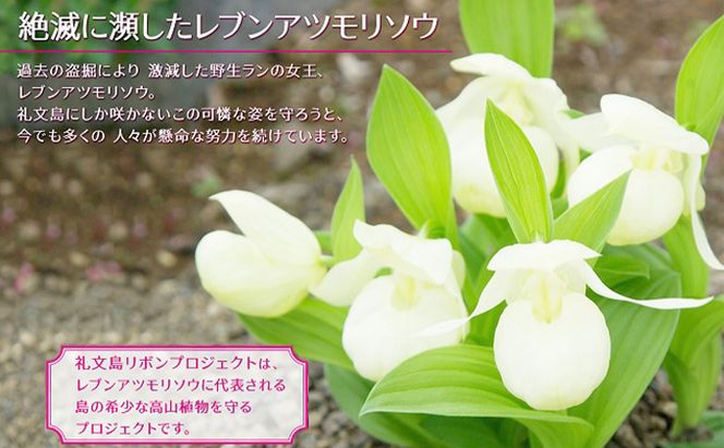 【礼文島リボンプロジェクト】北海道礼文島船泊産　昆布セット 自然保護 環境保全 利尻昆布 出汁用昆布 食材 花折昆布 根こんぶ とろろ昆布 きざみ昆布 