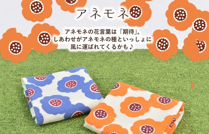 G3851 【スピード発送】しあわせを運ぶガーゼハンドタオル（個包装）8枚　アネモネ/ブルー【タオル 泉州タオル 吸水 速乾 普段使い 無地 シンプル 日用品 家族 たおる】