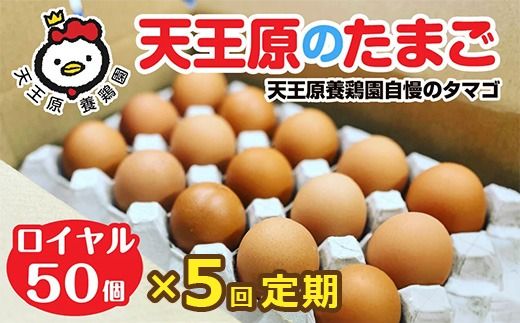 【定期便】5回定期 【天王原のたまご】 ロイヤル卵50個入り【定期便 5回定期便 セット たまご 卵 玉子 タマゴ 濃厚 ハリ 弾力 ボリューム 甘味 旨味 卵黄 風味 生 コク 甘味 卵かけご飯 卵焼き 目玉焼き オムレツ 茶碗蒸し お菓子作り パンの材料】