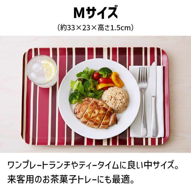 TATSU-CRAFT マグネットトレー M 33cm トリノストライプ BL ブルー すべり止め付き ［Tk1087］ 303446_DA90818VC02