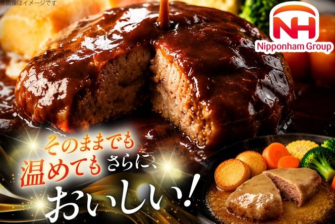 ハンバーグ 日本ハム デミグラスソース バター醤油 150g 各 10個 計20個 [日本ハムマーケティング 宮崎県 日向市 452061709] レトルト 湯煎 レンジ 常温 小分け レトルト食品 真空 保存食 防災食 非常食 ふるさと納税 時短 簡単 肉 簡単調理 弁当 おかず 惣菜 デミグラス