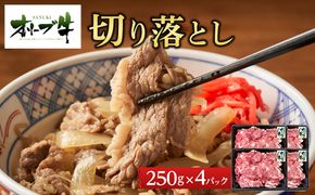 《生活応援・小分け》オリーブ牛切り落とし1000ｇ 372013_HM063