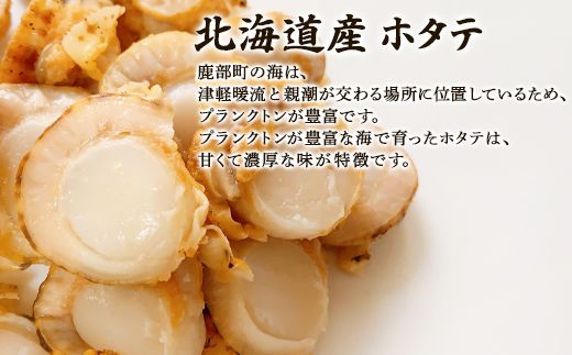 【北海道産】ほたて 炊き込みご飯の素 2合炊き×1袋 お手軽 ほたてごはん おうちごはん