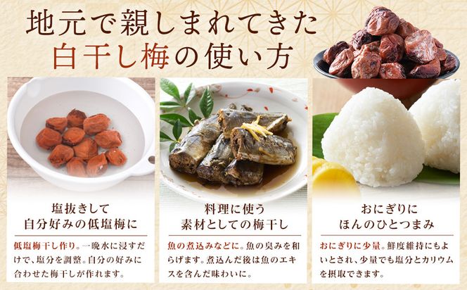 規格外品 無添加 栽培期間中農薬不使用 昔ながらの梅干し 紀州南高梅 塩のみで漬けたすっぱい梅干し 800g（400gパック×2個）塩分約23% 3年熟成品 N20-K ［KU8］ 303446_ED90007