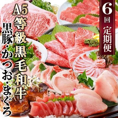 定期便(6回)A5等級黒毛和牛・黒豚・かつお・まぐろ FF-0058 【1166770】