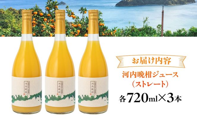 【愛媛県産】田縁農園の無添加100% 河内晩柑ジュース（720ml×3本） ストレート果汁100％ IKTA014