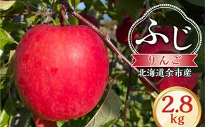 【先行予約：2026年12月上旬より発送】りんご（ふじ）2.8kg【北海道余市町産】_Y103-0076